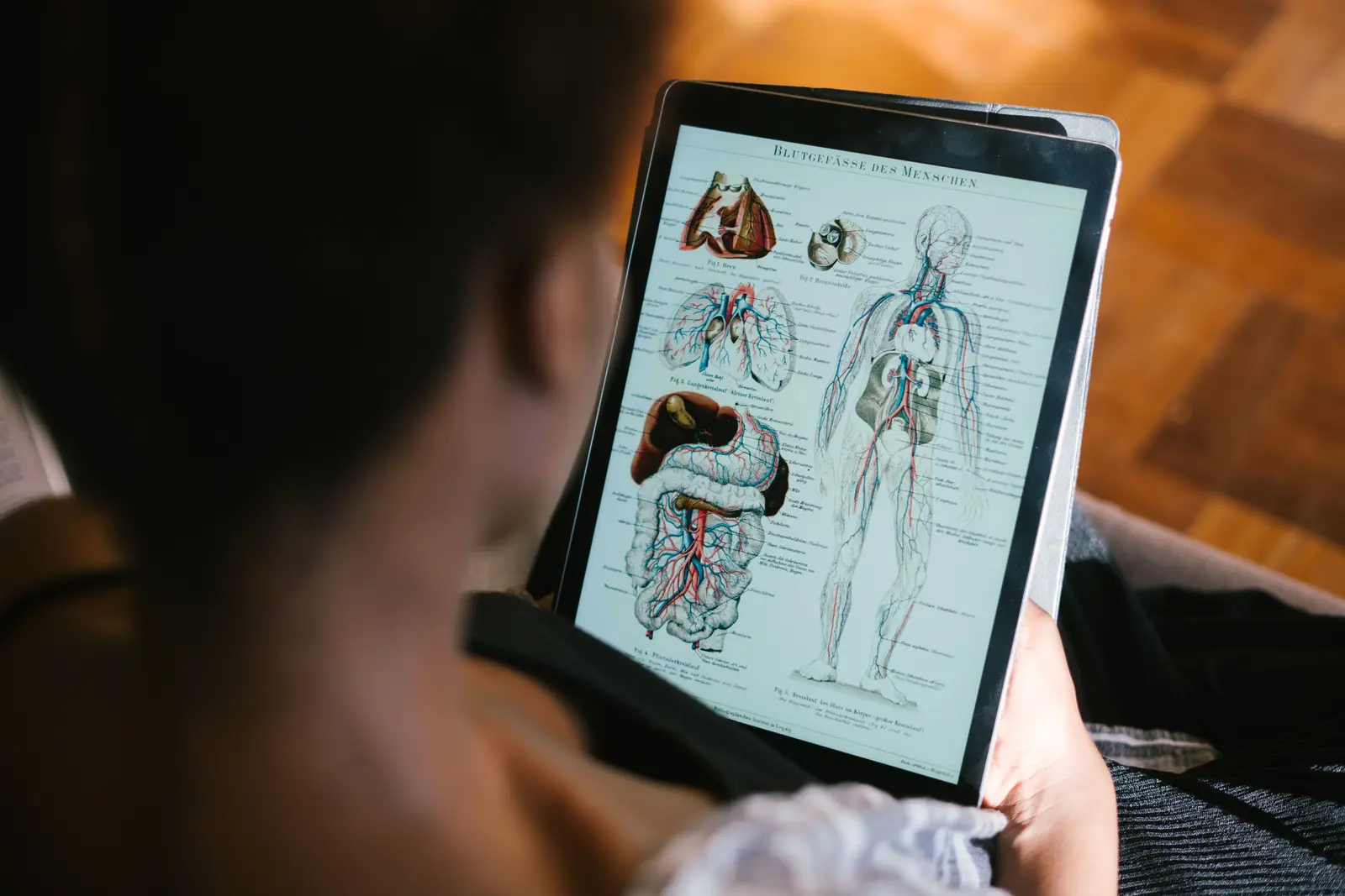 Estudiando láminas de anatomía en una tableta
