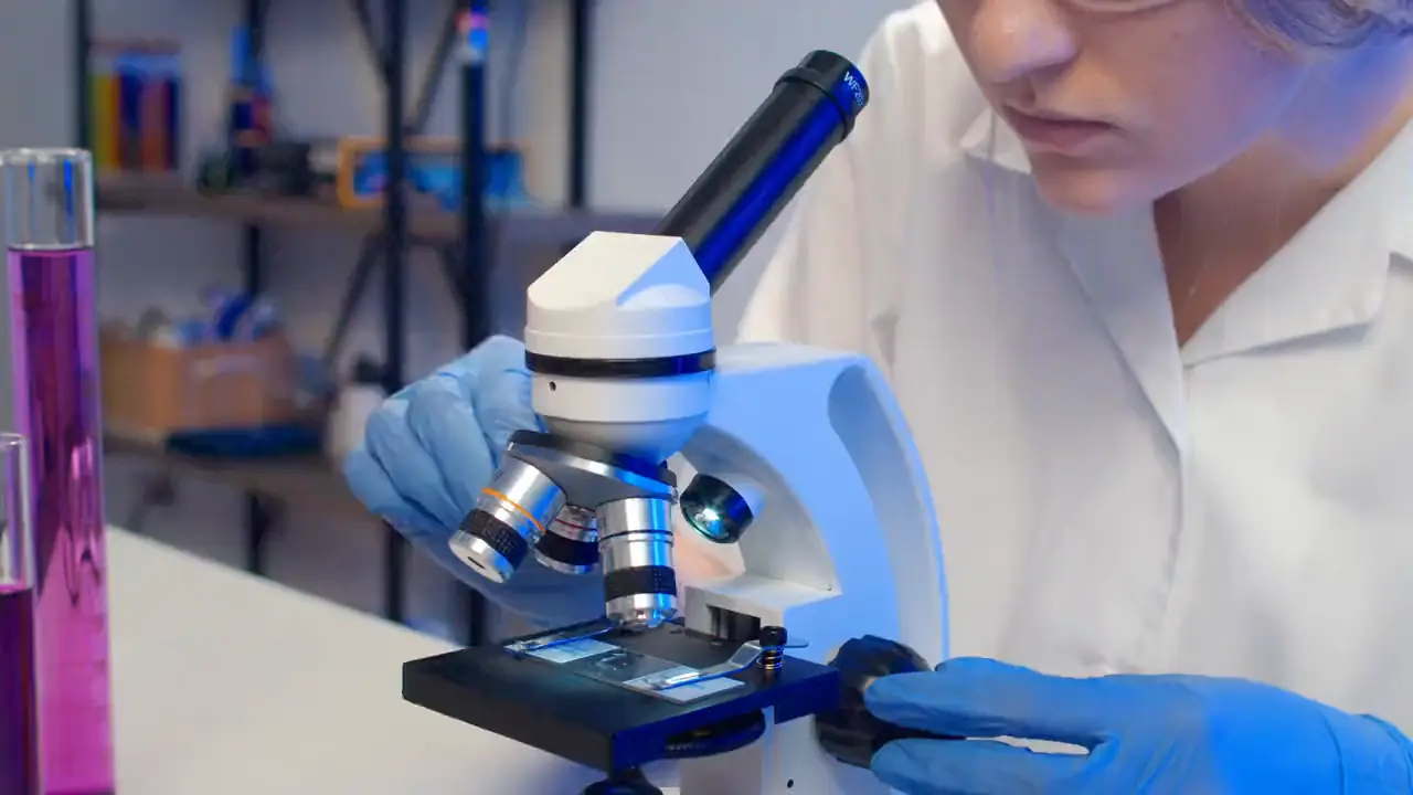 Preparación al microscopio en un laboratorio